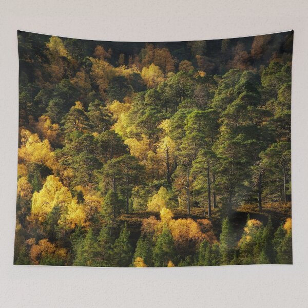 Item preview, Forest Colours designed and sold by ShinyPhoto.