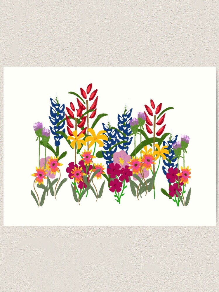 Consider the Wildflowers 8x10 Art Print Flower Art Print Texas Wildflowers  