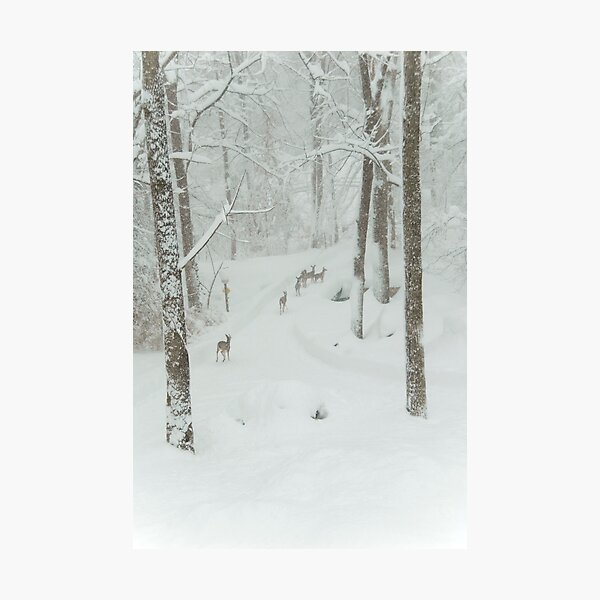 Item preview, Herd of Deer on a Snowy Day designed and sold by Jean Meile.