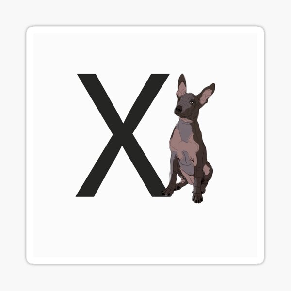 Item preview, X es para Xoloitzcuintli Dog (Xolo) designed and sold by sketchandpaws.
