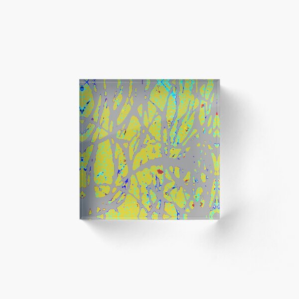 Kate's Wall Acrylic Block