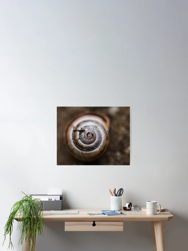 Thumbnail 2 von 3, Poster, Shell designt und verkauft von Greg Webb.