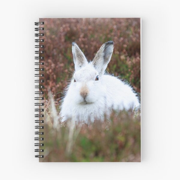 Item preview, The white bunny, rabbit, mountain hare in the rain designed and sold by chanonry.