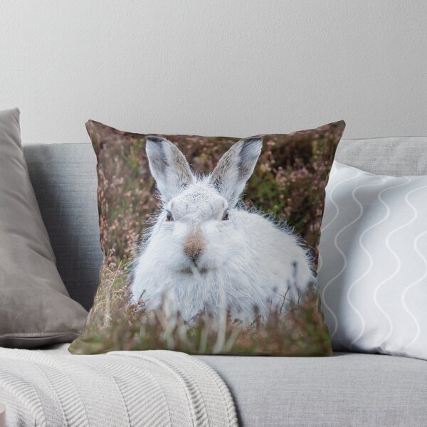 Item preview, The white bunny, rabbit, mountain hare in the rain designed and sold by chanonry.