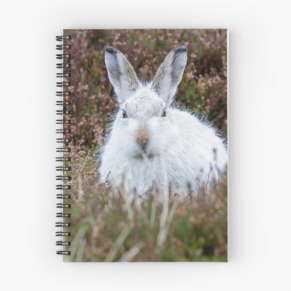 Item preview, The white bunny, rabbit, mountain hare in the rain designed and sold by chanonry.