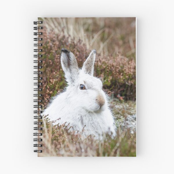 Item preview, The white bunny, rabbit, mountain hare in the rain designed and sold by chanonry.