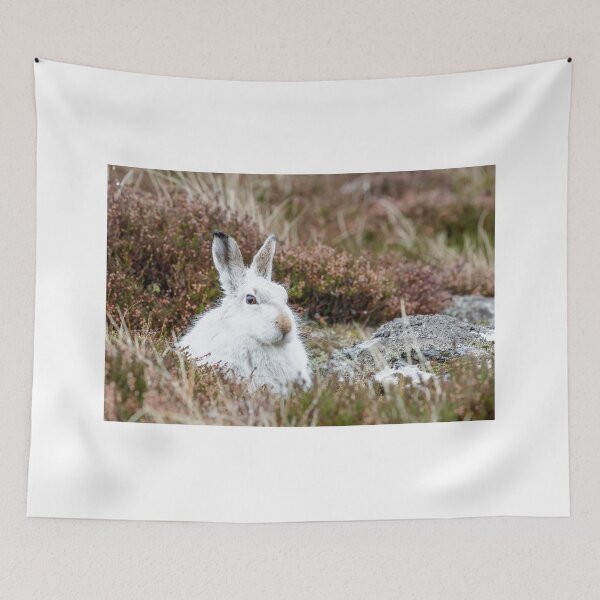 Item preview, The white bunny, rabbit, mountain hare in the rain designed and sold by chanonry.