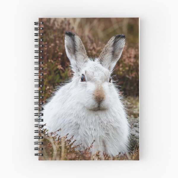 Item preview, The white bunny, rabbit, mountain hare in the rain designed and sold by chanonry.