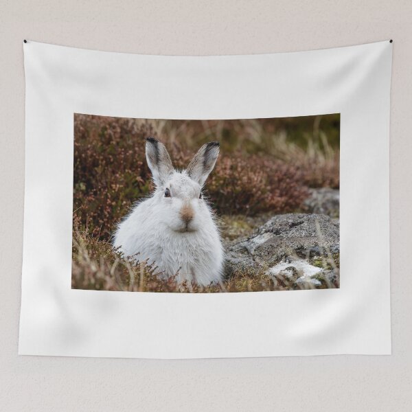 Item preview, The white bunny, rabbit, mountain hare in the rain designed and sold by chanonry.