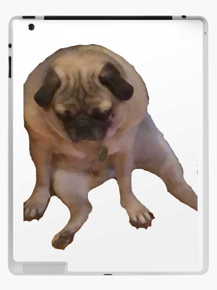 Depressed pug hot sale