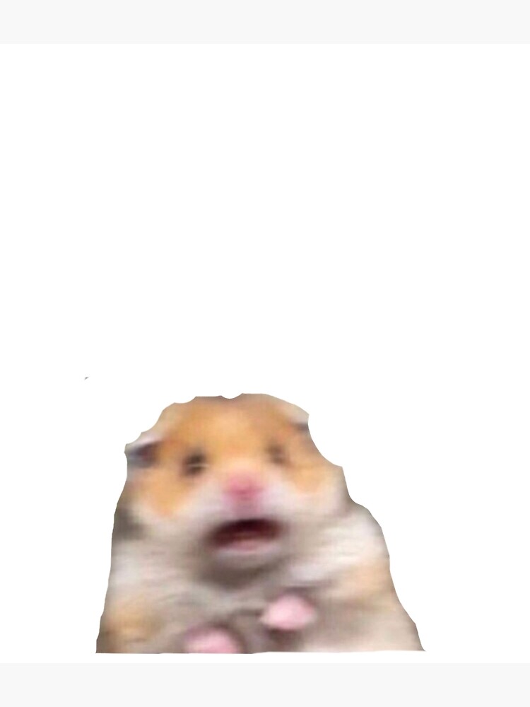 Thumbnail 3 of 3, Poster, hamster meme designed and sold by dtscott19.