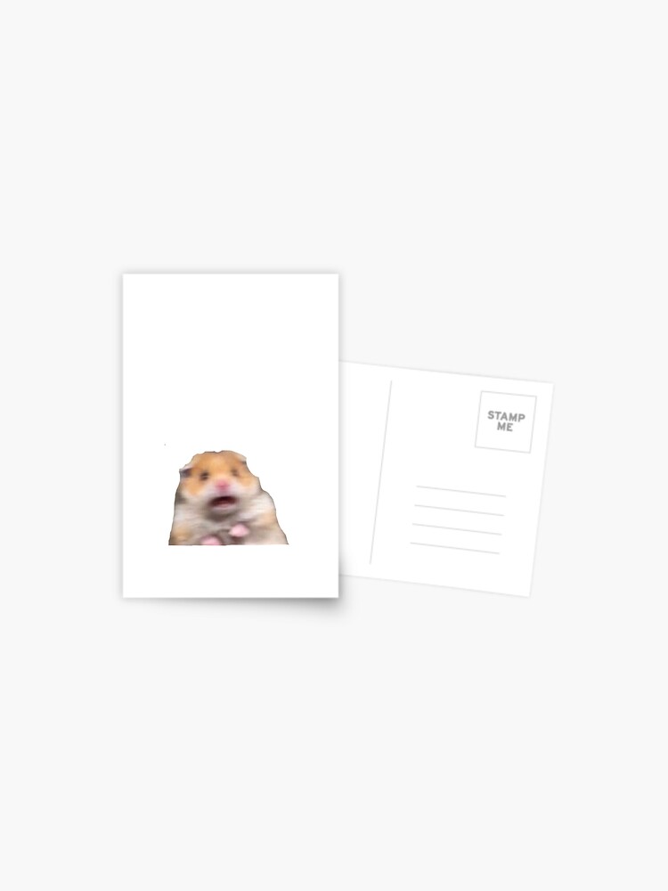 hamster meme Sticker for Sale by dtscott19