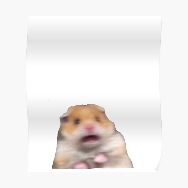 hamster meme Poster