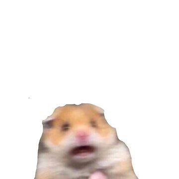Artwork thumbnail, hamster meme by dtscott19