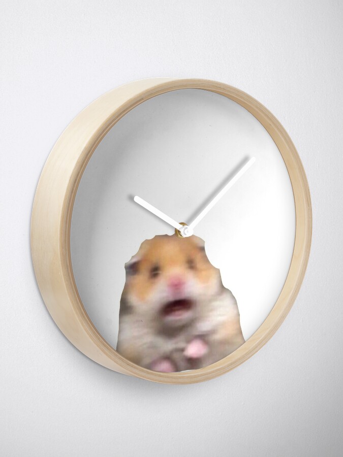 hamster meme Sticker for Sale by dtscott19