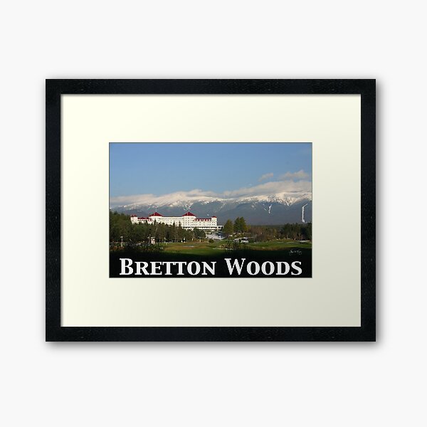 Item preview, Bretton Woods 65th Anniversary Poster designed and sold by Wayne King.