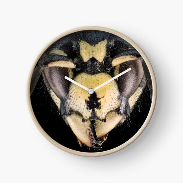 Wasp head Clock