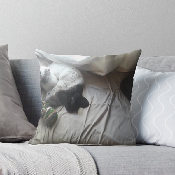 Item preview, Two sleepy cats designed and sold by Jarred Chaisson.