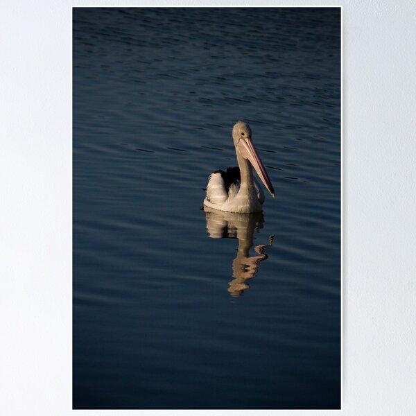 Item preview, Peaceful swimmer designed and sold by Rob Beckett.
