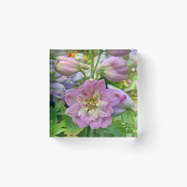 Item preview, Delphinium Mix designed and sold by AnnDixon.