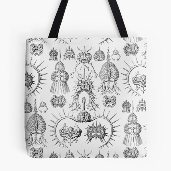 Item preview, Ernst Haeckel - Spyroidea designed and sold by ShaMiLaB.
