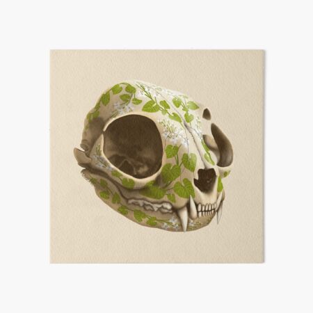 cat skull decorated with wasabi flowers Art Board Print