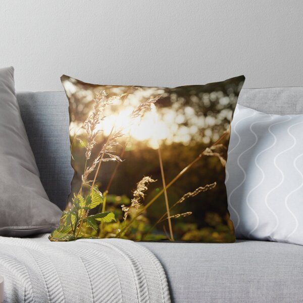 Sunset Views Throw Pillow