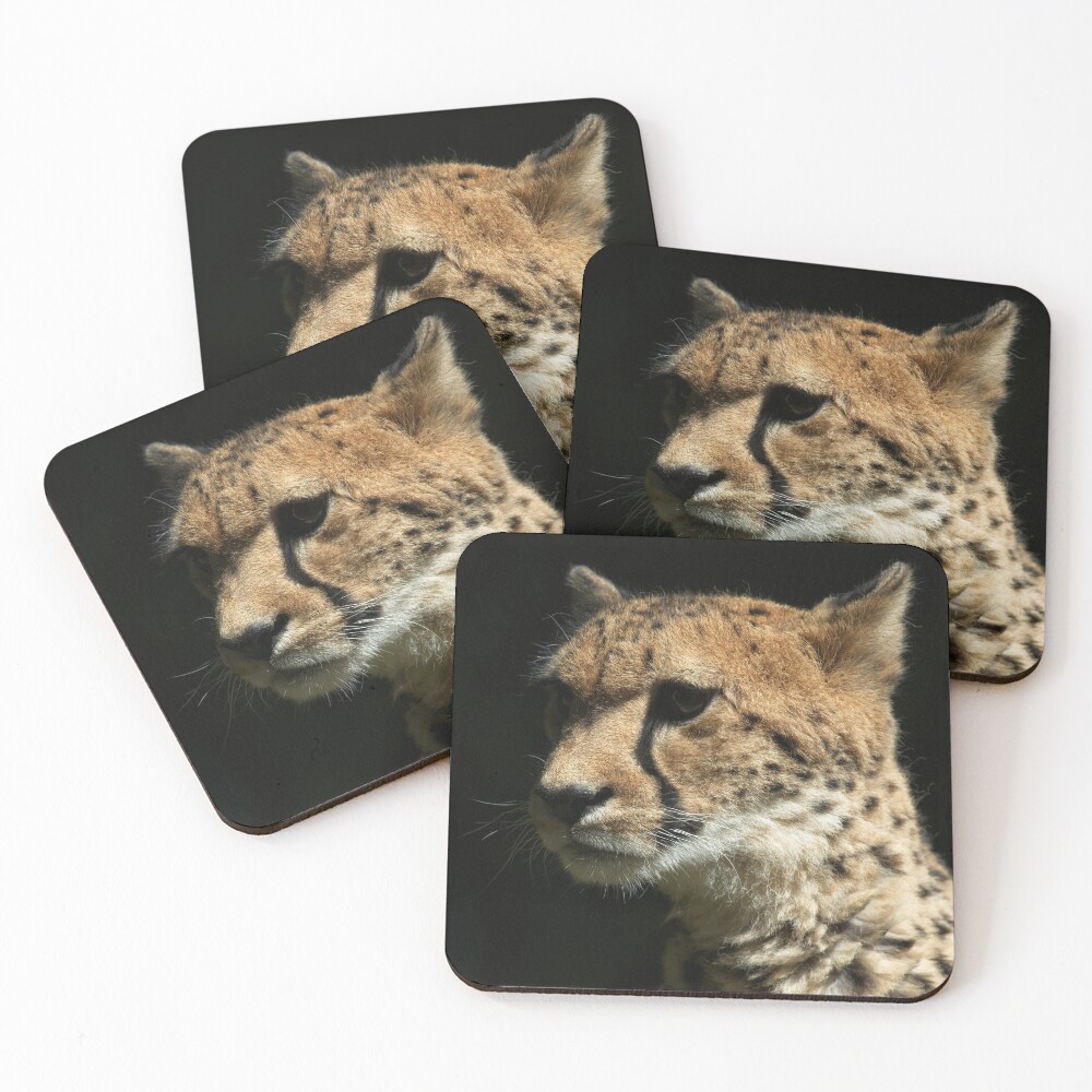 Item preview, Coasters (Set of 4) designed and sold by rawshutterbug.