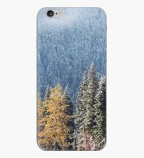 Stevens Pass iPhone Case