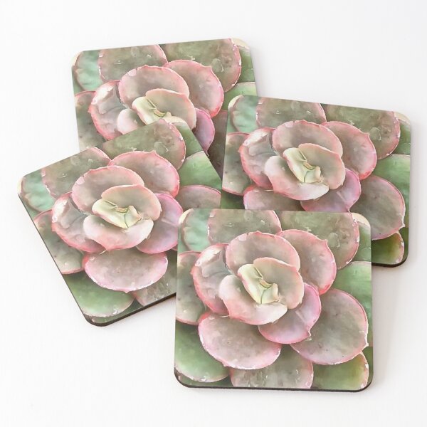 Item preview, Echeveria Cactus Succulent Acrylic Painting designed and sold by taiche.