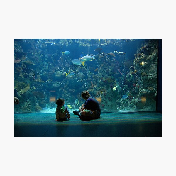 Item preview, Kids entranced at the Aquarium designed and sold by iuchiatesoro.