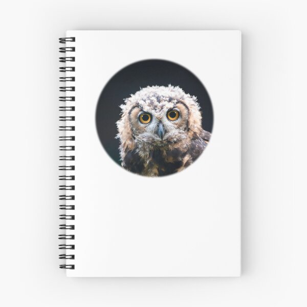 Item preview, MacKinder’s Eagle Owl designed and sold by Thomas F. Gehrke.