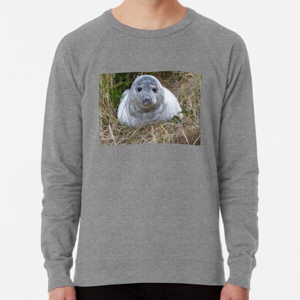 Grey Seal Pup Lightweight Sweatshirt