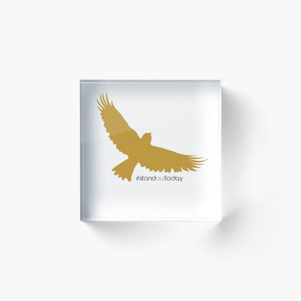 stand out today Acrylic Block