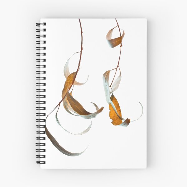Item preview, Two views of a gum leaf designed and sold by John Holding.