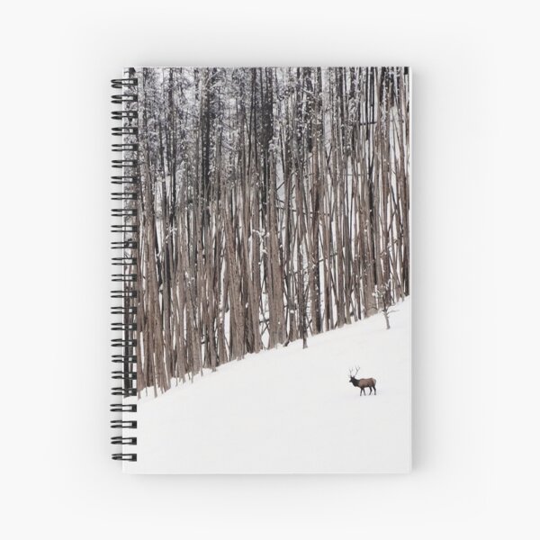 Lone Bull Spiral Notebook