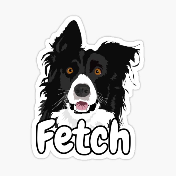 Download Border Collie Dogs Stickers Redbubble