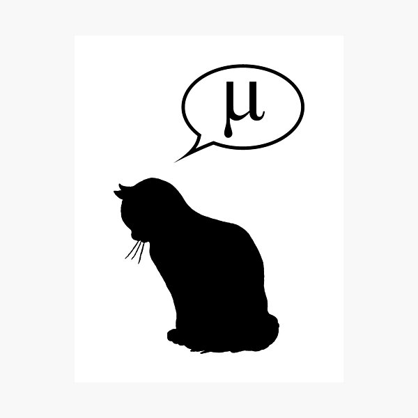 Physics Cat and Friction Coefficient Photographic Print