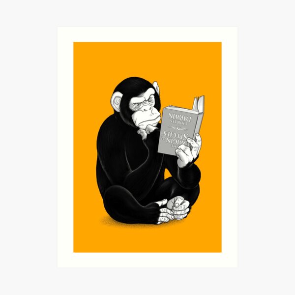 Origin of Species Art Print