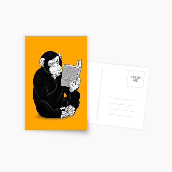 Origin of Species Postcard