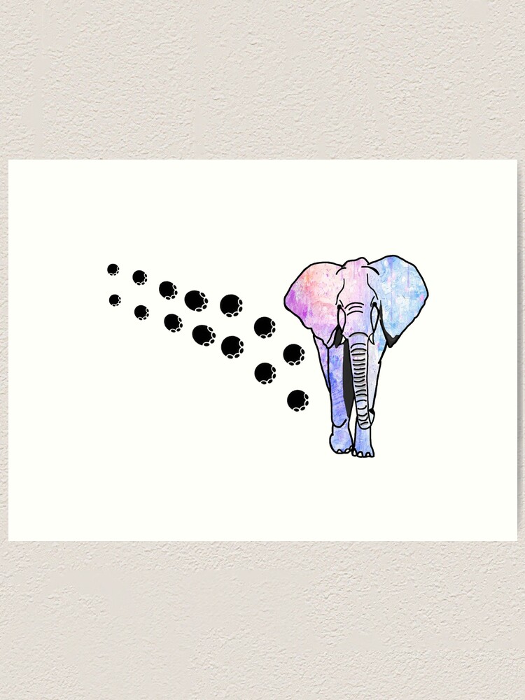 Elephant Foot Prints – Elephant Oasis