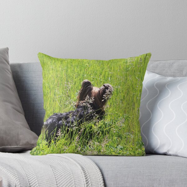 Item preview, Looking for Rabbits designed and sold by Alyce Taylor.
