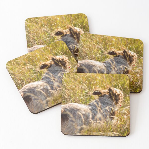Item preview, Follow my tail Spinone designed and sold by FOLK ART FUSION by heidiannemorris.