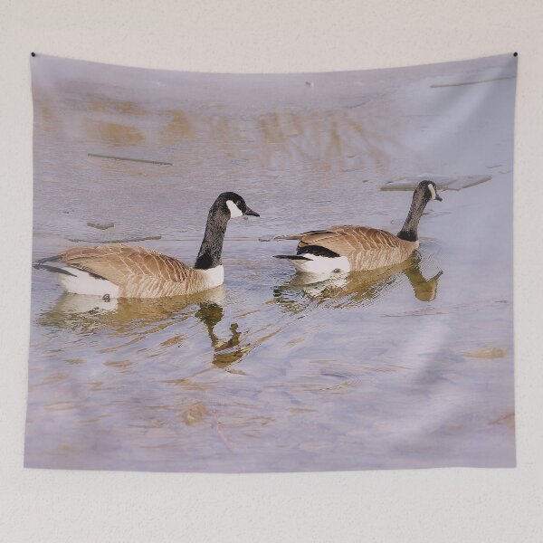 Item preview, Canada Geese in Winter designed and sold by SRosuphotos.