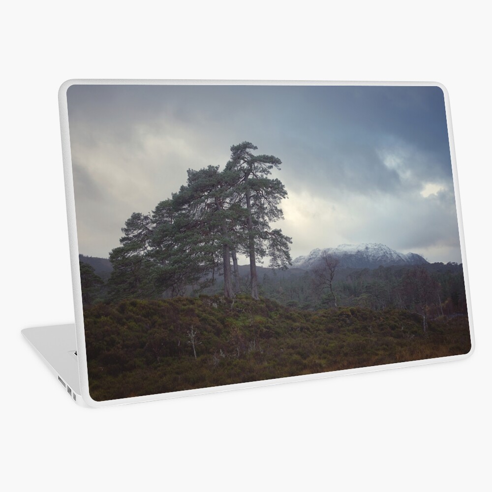 Item preview, Laptop Skin designed and sold by ShinyPhoto.