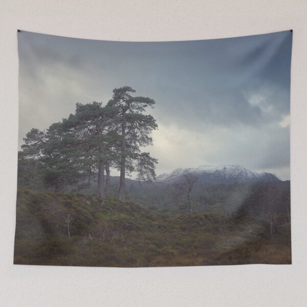Item preview, Old Trees designed and sold by ShinyPhoto.