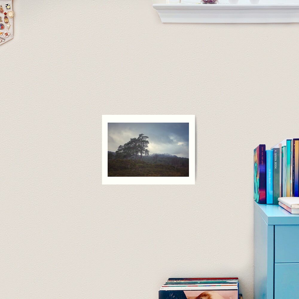 Item preview, Art Print designed and sold by ShinyPhoto.