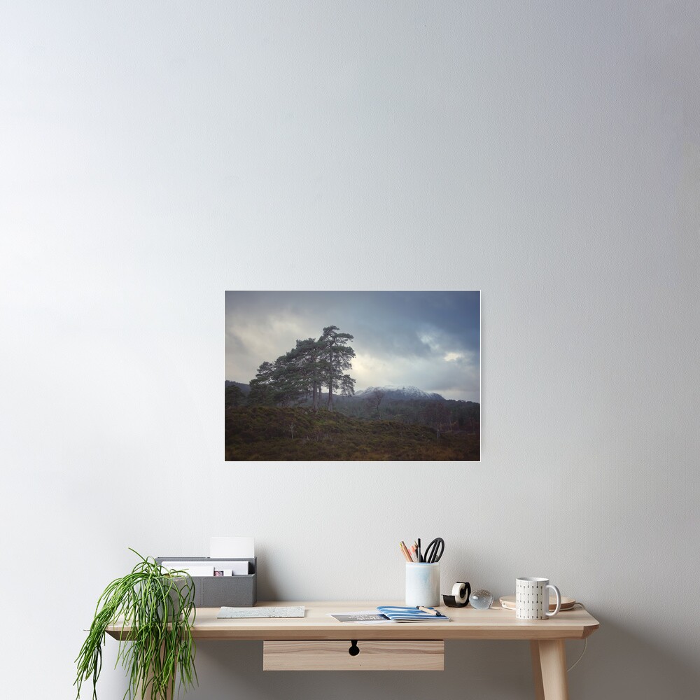 Item preview, Poster designed and sold by ShinyPhoto.