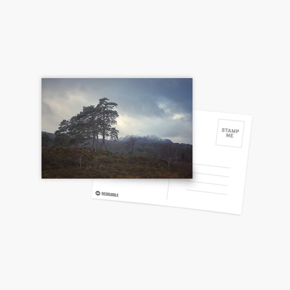 Item preview, Postcard designed and sold by ShinyPhoto.