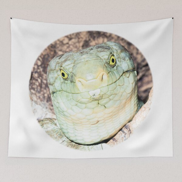 Item preview, Solomon Islands Skink designed and sold by Thomas F. Gehrke.